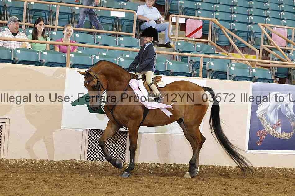 Proof 12yn_03572