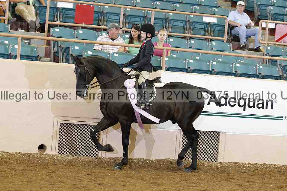 Proof 12yn_03575