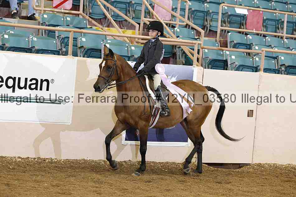 Proof 12yn_03580