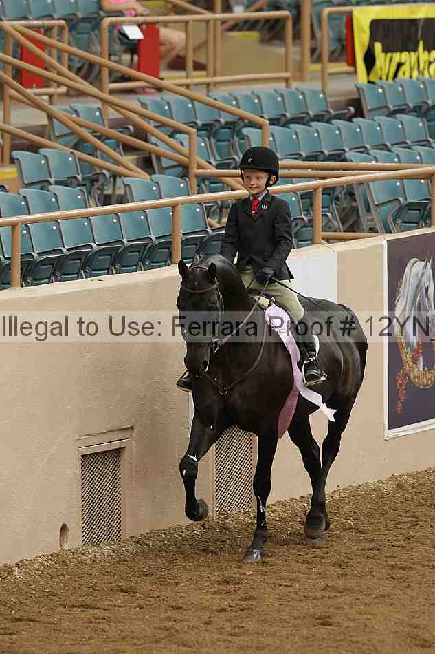 Proof 12yn_03583