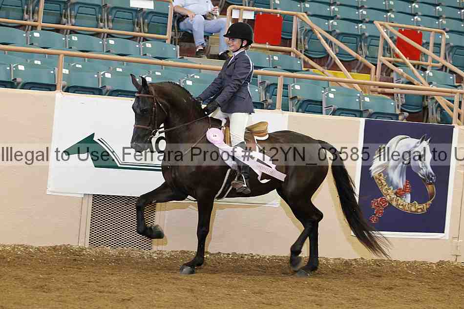 Proof 12yn_03585