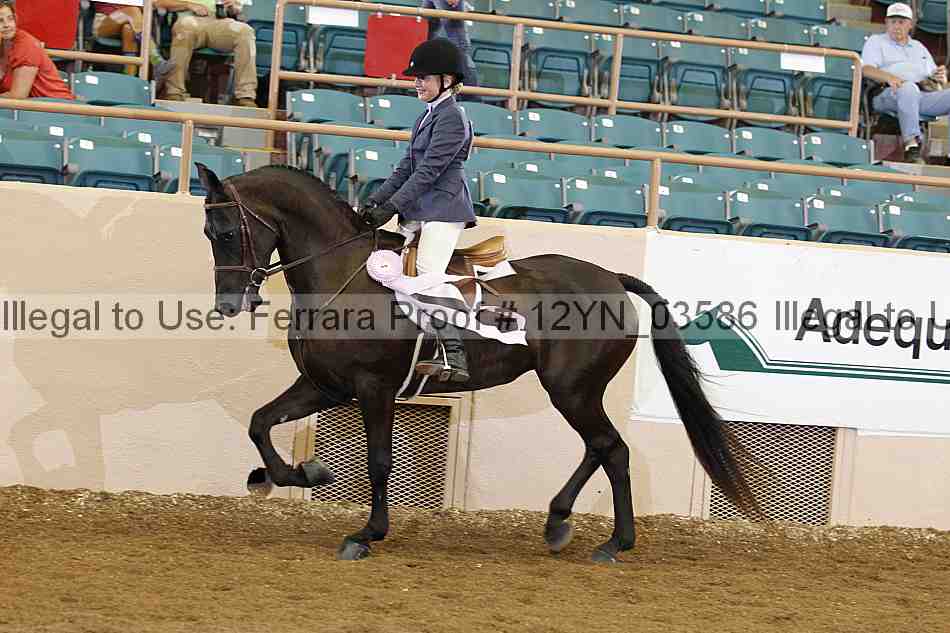 Proof 12yn_03586