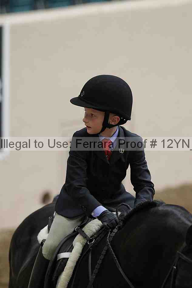 Proof 12yn_03589