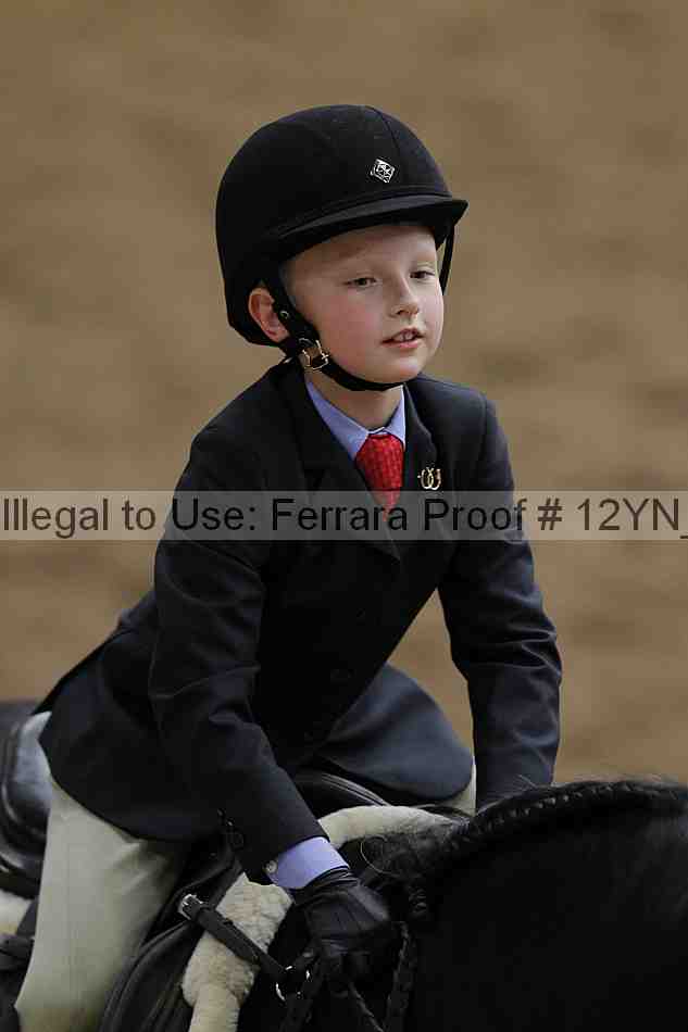 Proof 12yn_03590