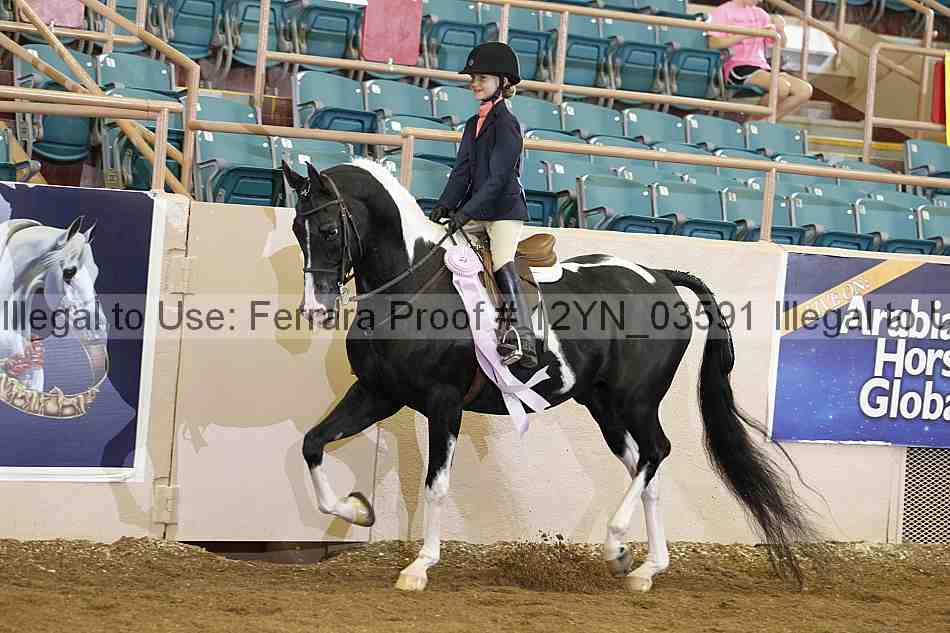 Proof 12yn_03591