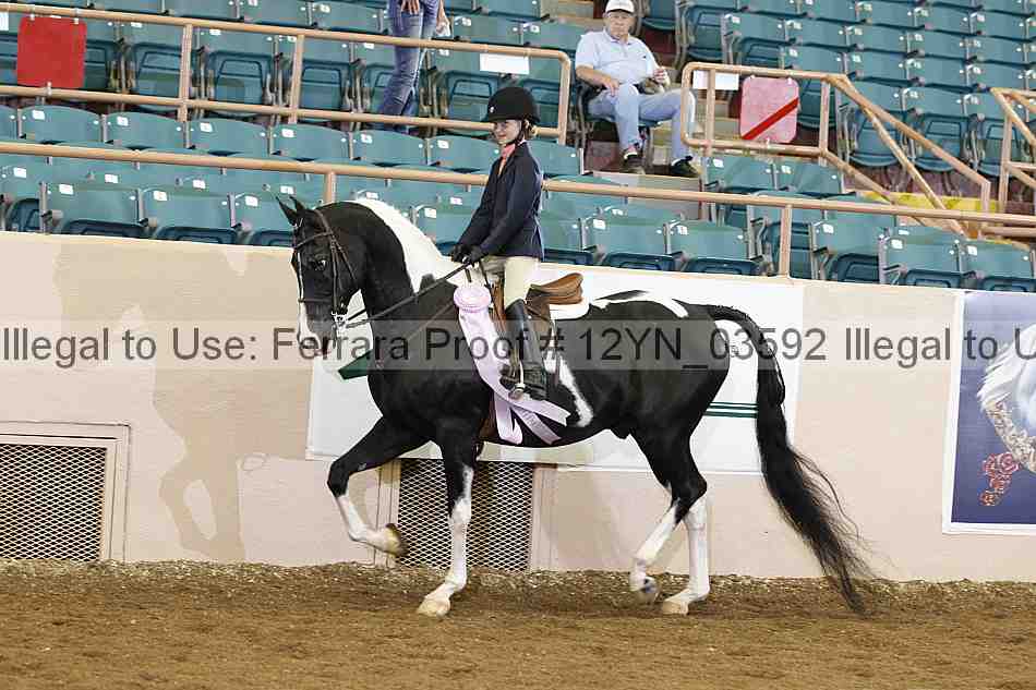 Proof 12yn_03592