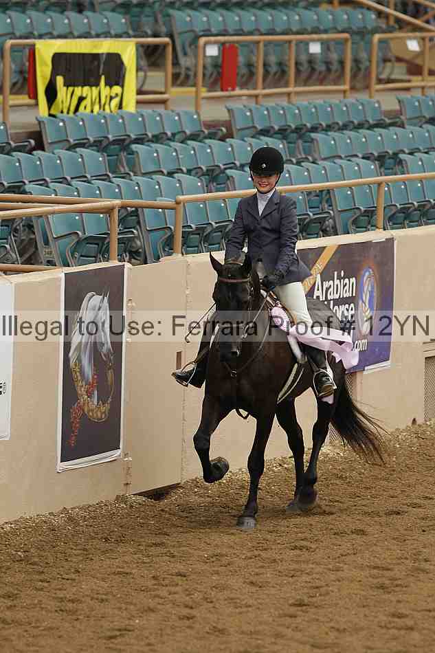 Proof 12yn_03595