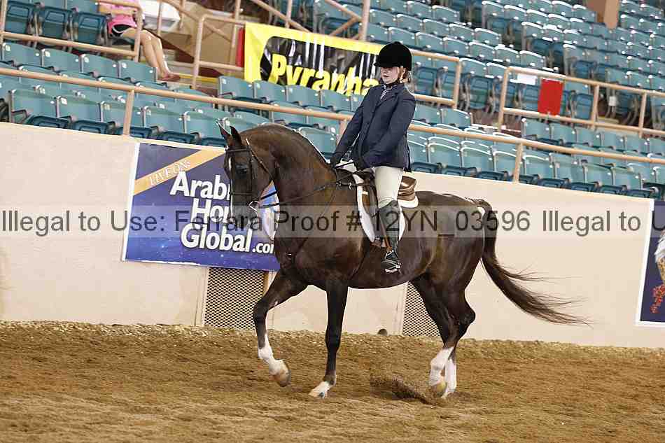 Proof 12yn_03596