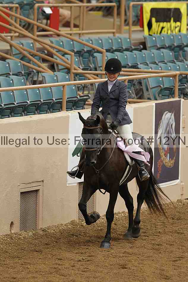 Proof 12yn_03597