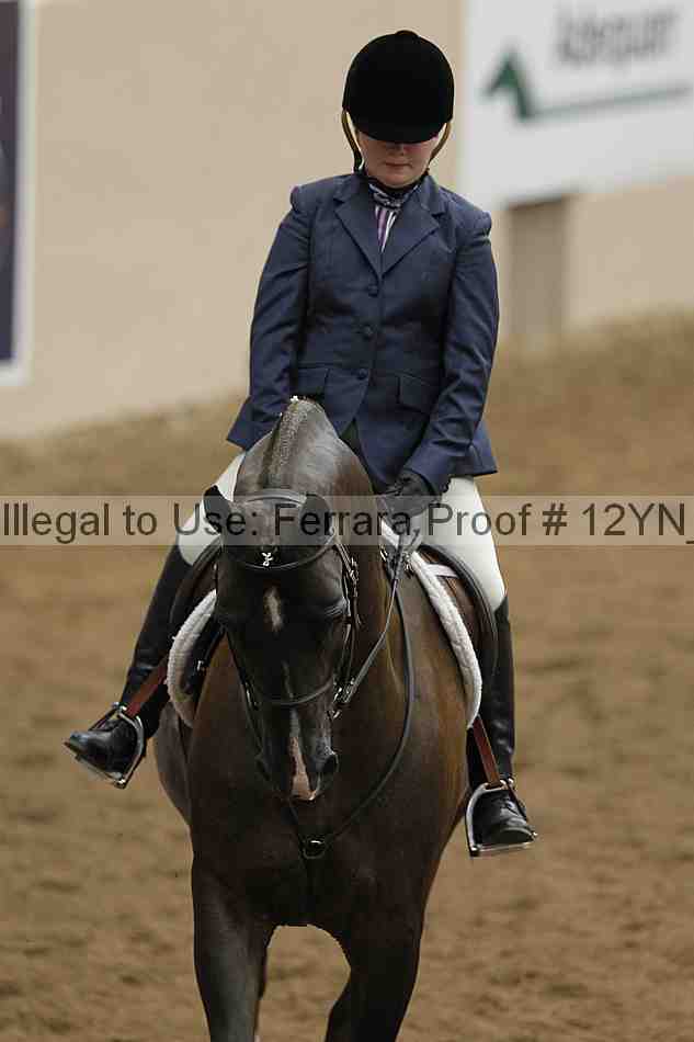 Proof 12yn_03608