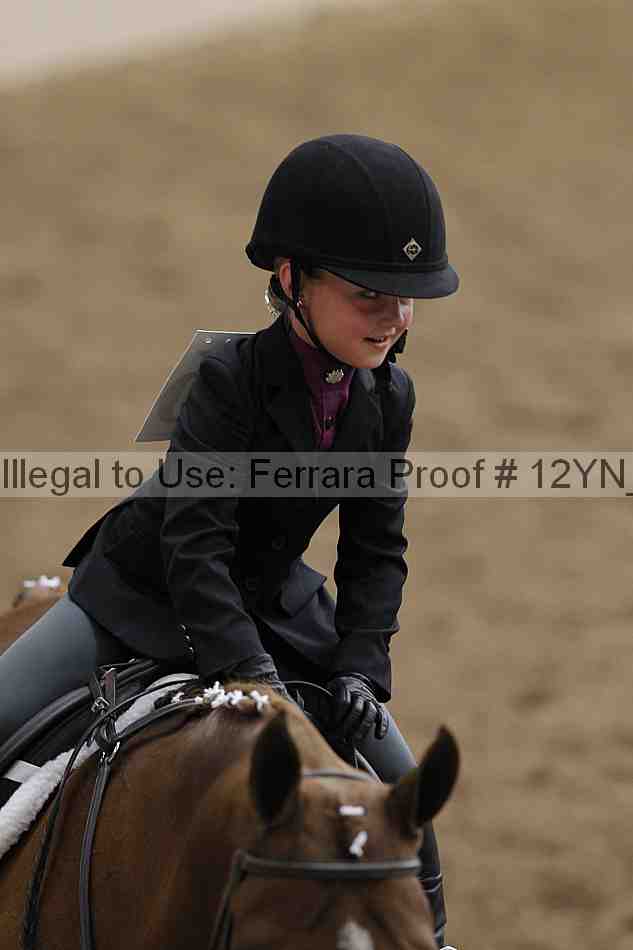Proof 12yn_03613