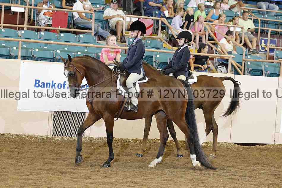 Proof 12yn_03729