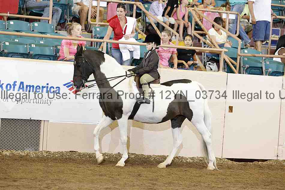 Proof 12yn_03734
