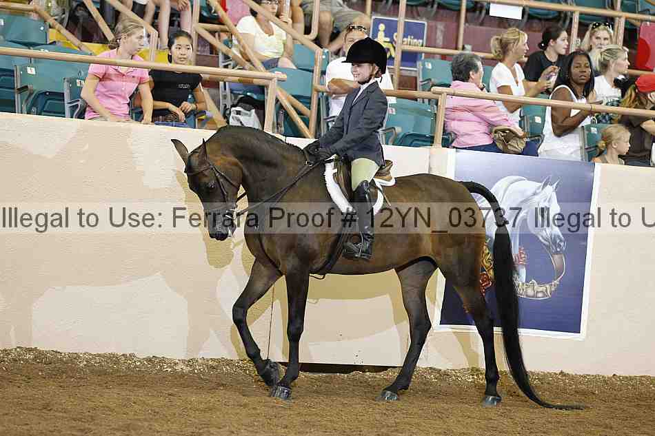 Proof 12yn_03737
