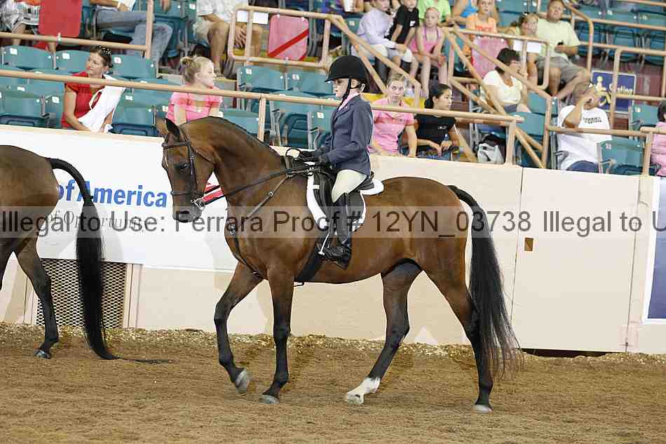 Proof 12yn_03738