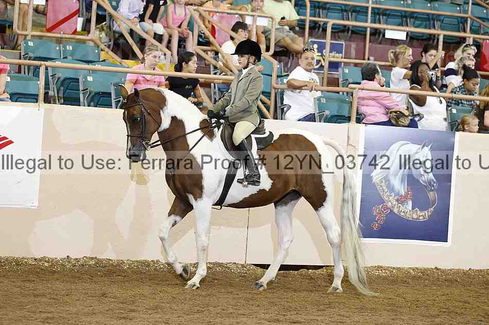 Proof 12yn_03742