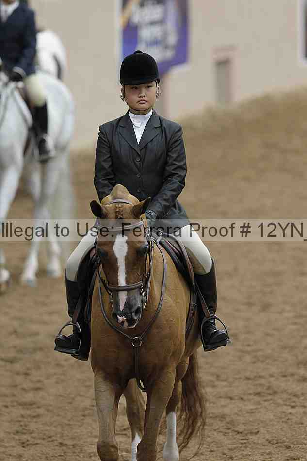 Proof 12yn_03748
