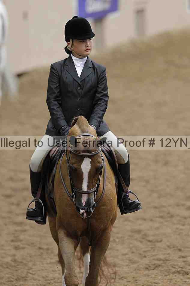 Proof 12yn_03749