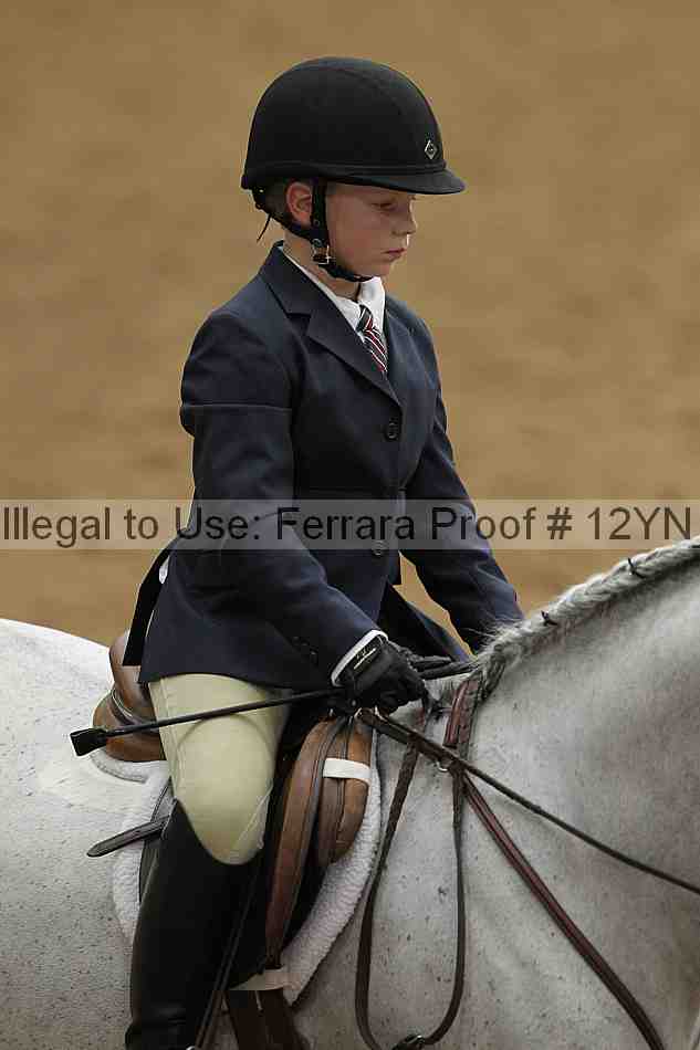 Proof 12yn_03754
