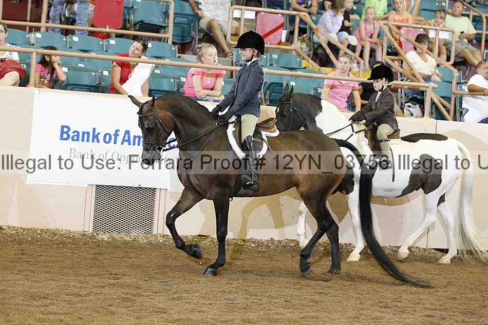 Proof 12yn_03756