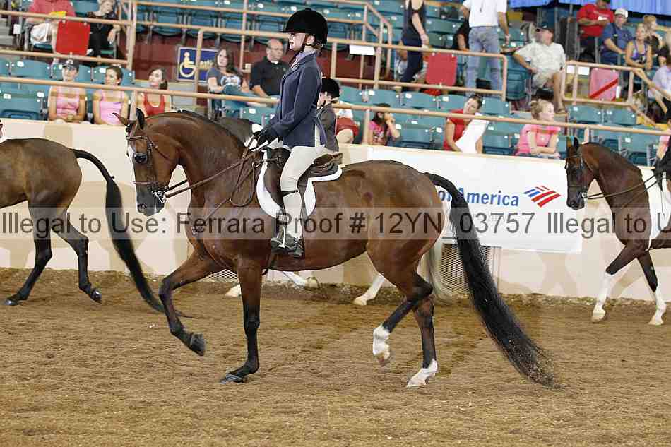 Proof 12yn_03757