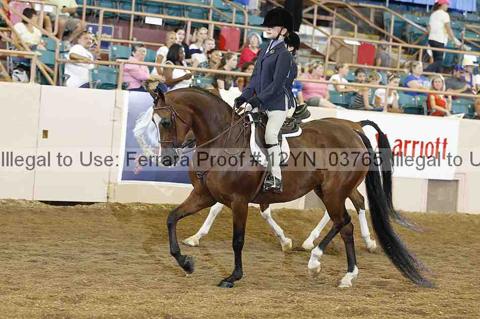 Proof 12yn_03765