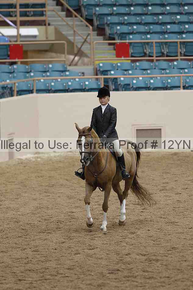 Proof 12yn_03770
