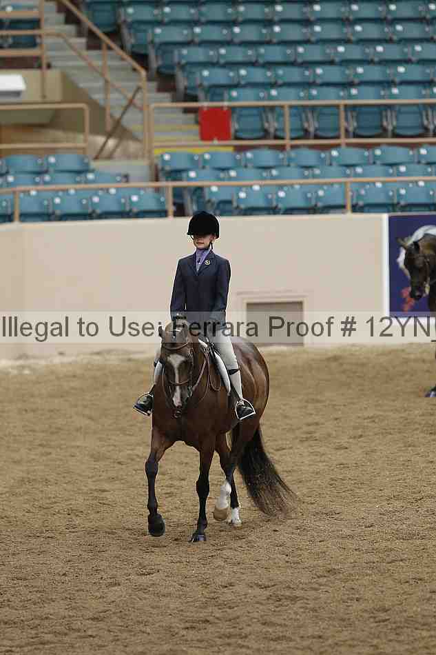 Proof 12yn_03773