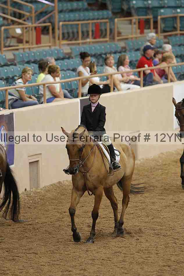 Proof 12yn_03775