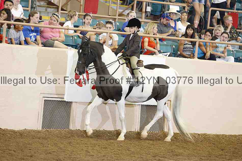 Proof 12yn_03776