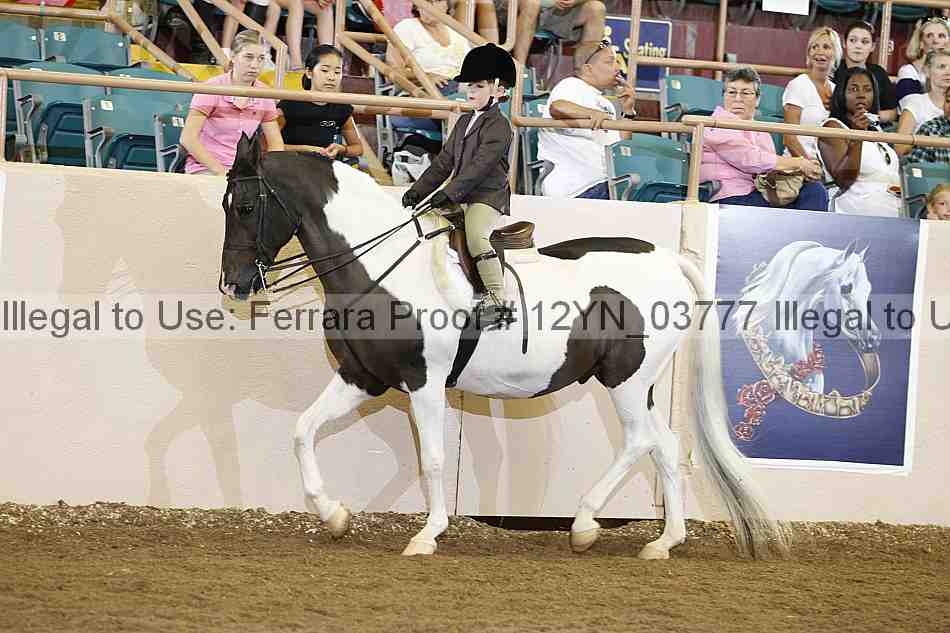 Proof 12yn_03777