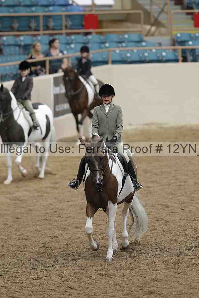 Proof 12yn_03778