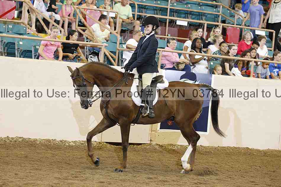 Proof 12yn_03784