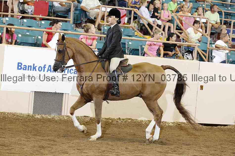 Proof 12yn_03785