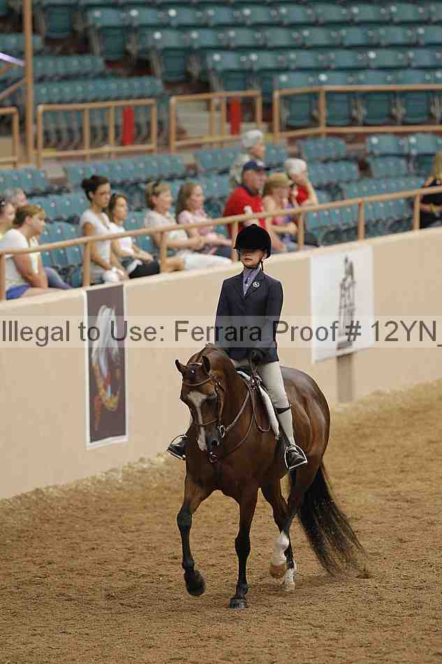 Proof 12yn_03787