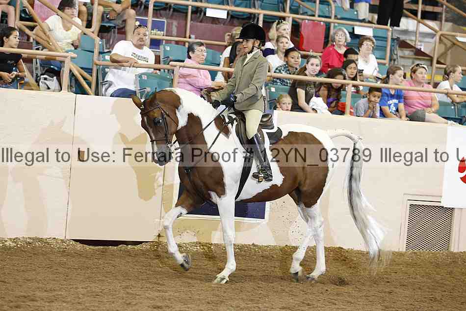 Proof 12yn_03789