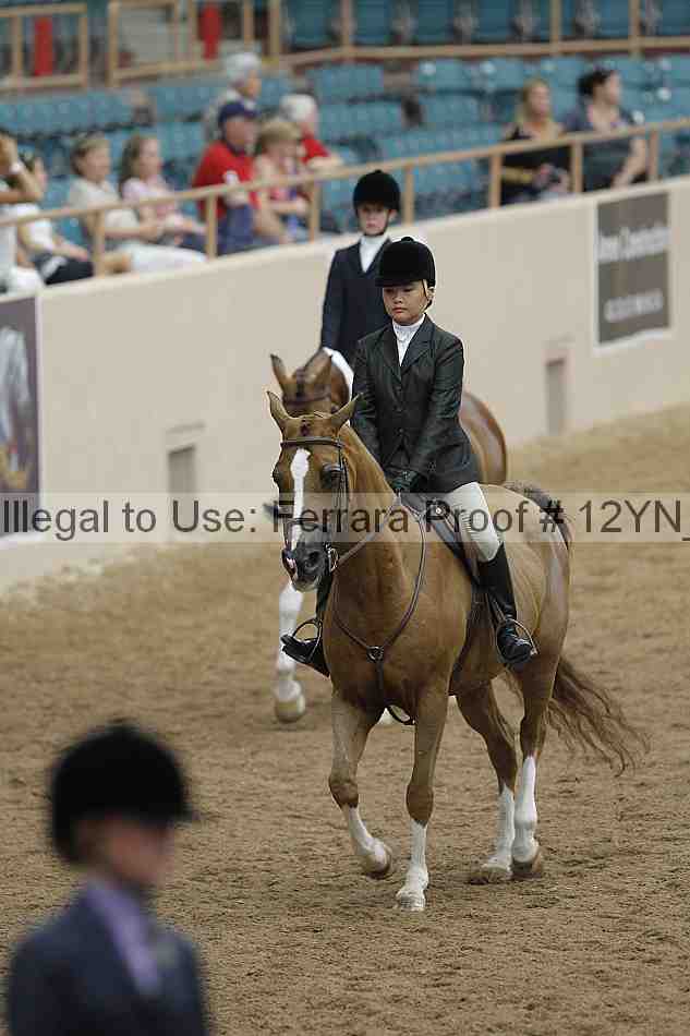 Proof 12yn_03790