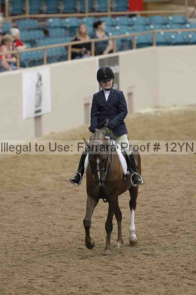 Proof 12yn_03791