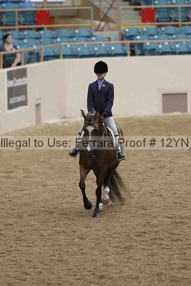 Proof 12yn_03793