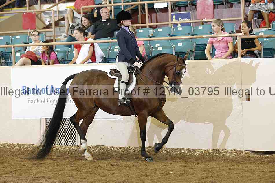 Proof 12yn_03795