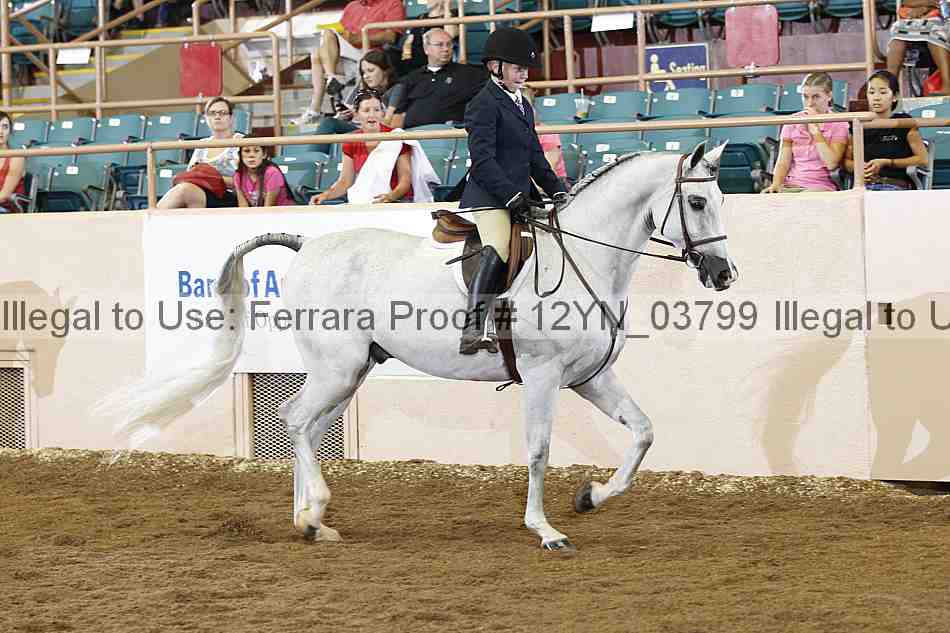 Proof 12yn_03799