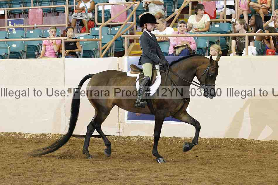 Proof 12yn_03800