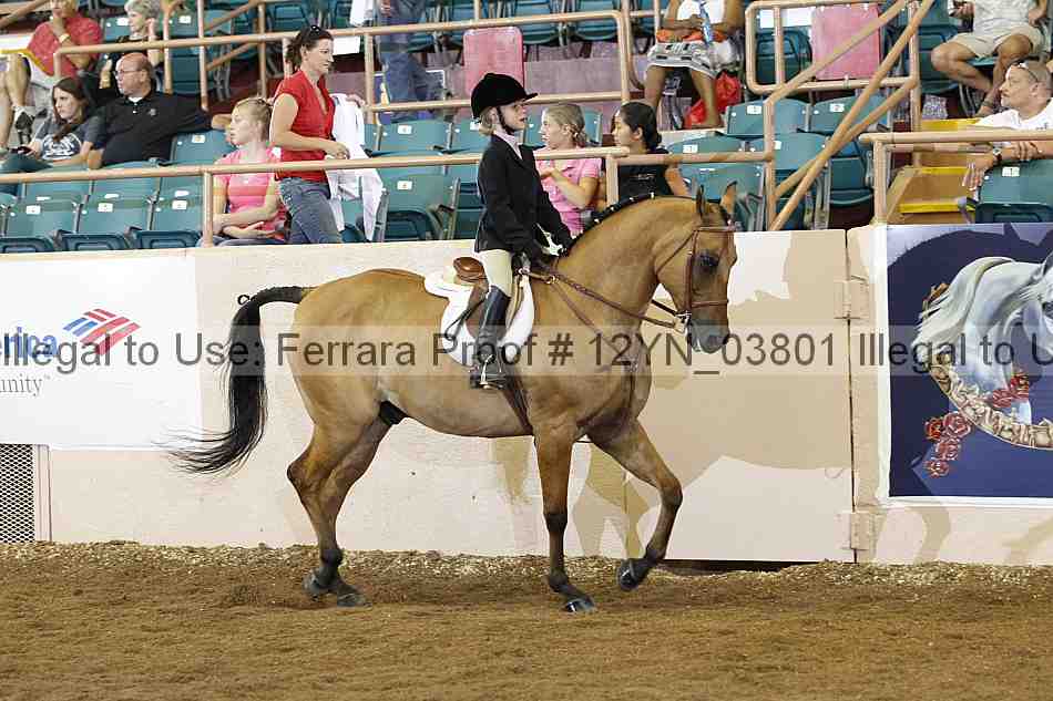 Proof 12yn_03801