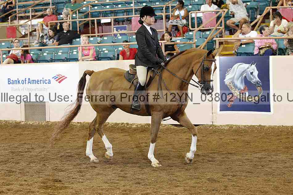 Proof 12yn_03802
