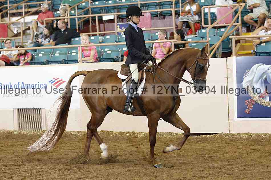Proof 12yn_03804
