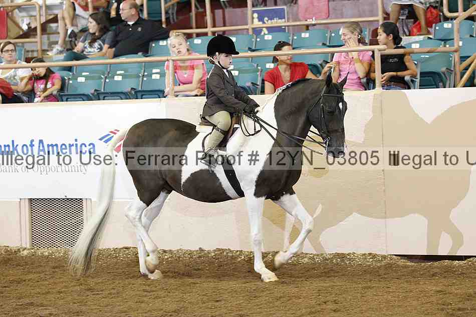 Proof 12yn_03805