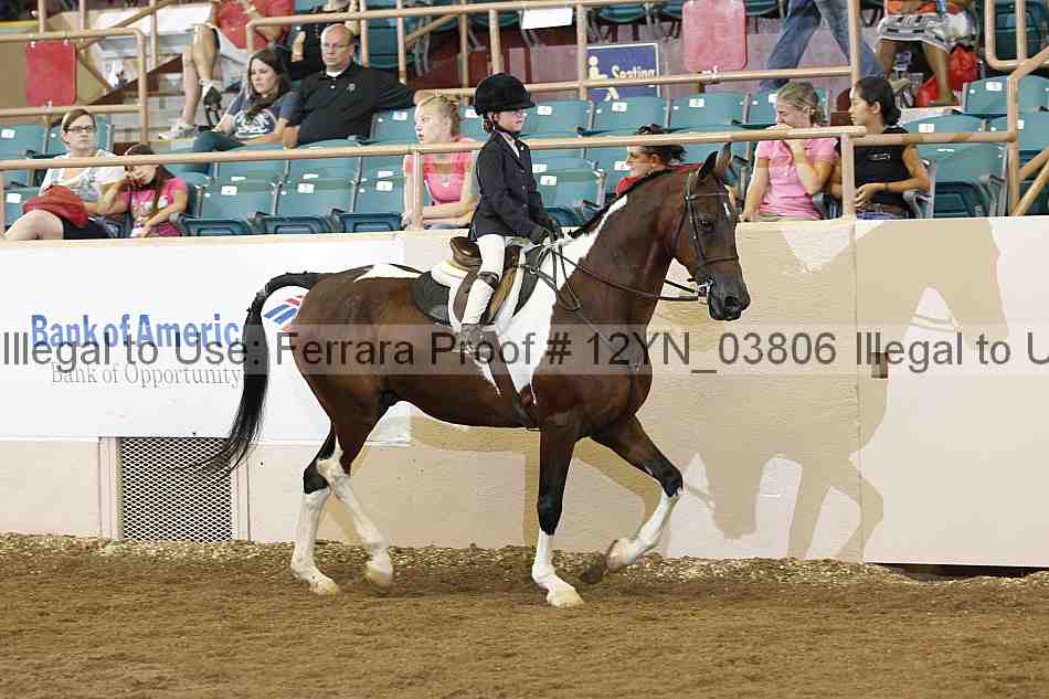 Proof 12yn_03806
