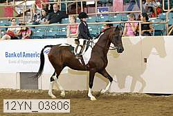 12yn_03806 proof