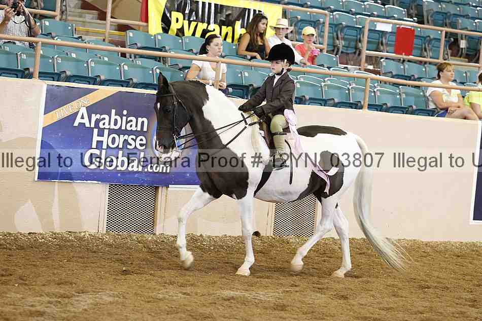 Proof 12yn_03807