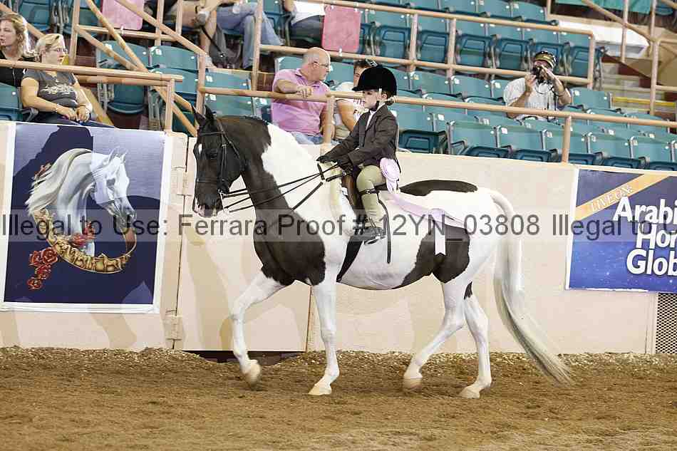 Proof 12yn_03808